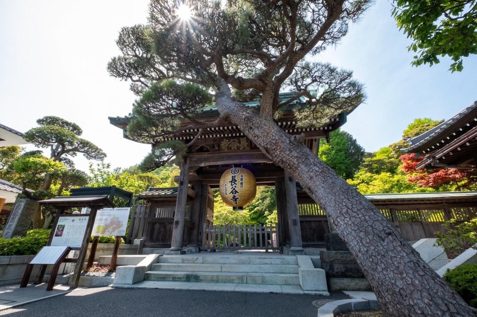 קמאקורה Japanese Modern Inn 鎌倉楽庵ハナレ מראה חיצוני תמונה
